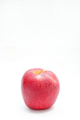 The apple red on white background style
