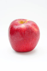The apple red on white background style