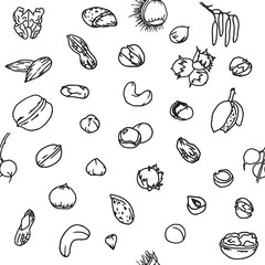 Fototapeta na wymiar Doodle seamless pattern with different nuts: walnuts, pistachios, hazelnuts, cashew etc. Line art repeated food background.