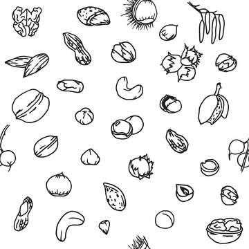 Doodle seamless pattern with different nuts: walnuts, pistachios, hazelnuts, cashew etc. Line art repeated food background.