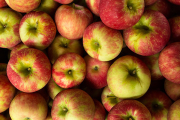 Apples