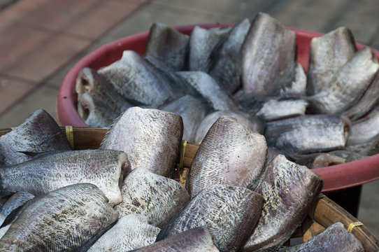 Anabantidae Bilder Durchsuchen 291 Archivfotos, und