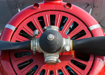 Spinner and propeller of a vintage plane