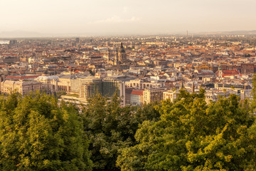 Basilique saint-étienne