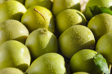 Juicy green pears with water drops. Juicy green pears with water drops lie close next to each other. Fresh autumn harvest. Background pattern