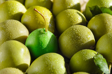 Juicy green pears with water drops background . Stand out from the crowd concept.