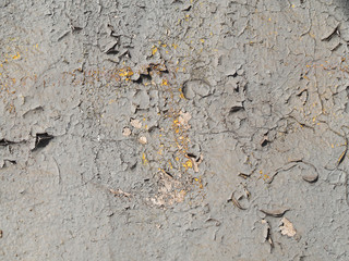 cracked paint texture