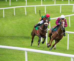 Two jockeys and race horses competing for position around the bend on the track