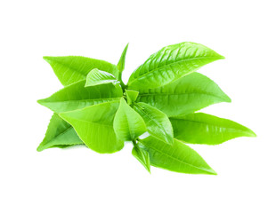 Pile of fresh green tea leaf isolated on white background.
