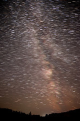 star sky forest tracks