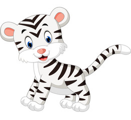 illustration of cute baby white tiger