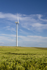 Wind power station in green-yellow color cornfield. Blue sky with white clouds