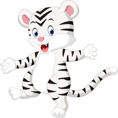 illustration of cute baby white tiger