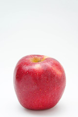 The apple red on white background style