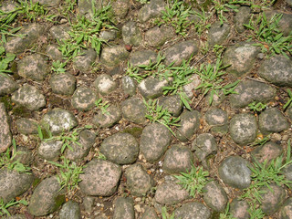 Manmade path of stones
