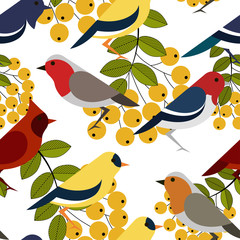 Seamless pattern with colorful birds.Vector textile print.Textile texture