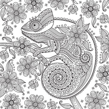 Black and white vector illustration with a chameleon in ethnic patterns on the flowering branch. It can be used as  coloring antistress for adults  children
