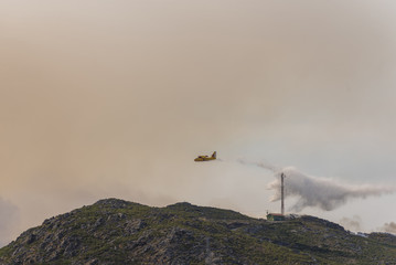 Fototapeta premium Extinción de incendios.