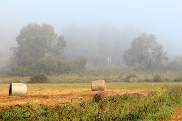 Jesienne Sianokosy © Wojciech Lisiński