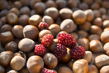 Nocciole e more