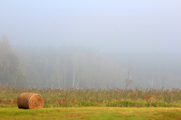 Jesienne Sianokosy © Wojciech Lisiński