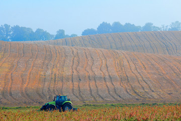Prace W Polu  © Wojciech Lisiński