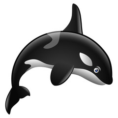 Cute killer whale cartoon © ajibon