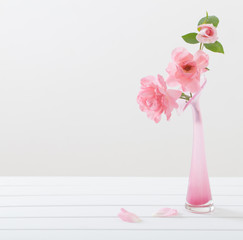 Pink roses in vase on white background