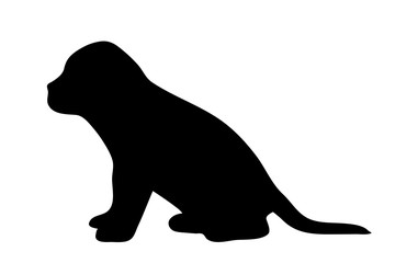 Vector illustration of dog.