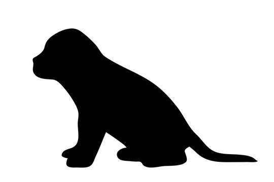 Vector illustration of dog.