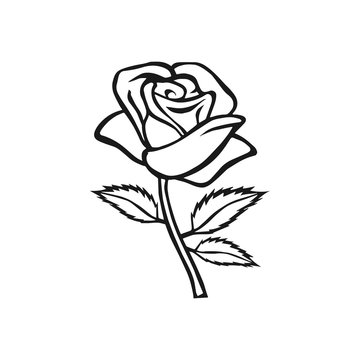 Rose sketch. Rose motif. Flower design elements. Vector illustration. Elegant flower outline design. Gray symbol isolated on white background. Abstract rose. Good for design, logo or decoration