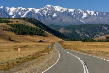 road mountains asphalt forest snow