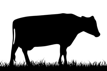 Vector silhouette of cow.