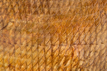 Scales of smoked fish