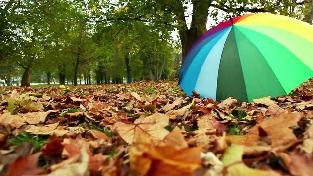 Bright colorful umbrella lying on the ground covered in autumnal leaves