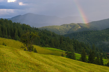 Rainbow in the mountain valley after rain. Beautiful landscape.