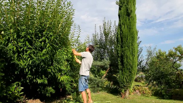 HOMME TAILLANT UN ARBUSTE &Agrave; LA CISAILLE_&eacute;pisode2