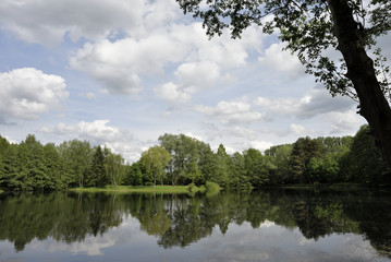 Fototapeta na wymiar Sommerlicher See mit Wolken