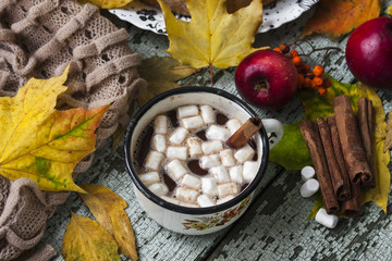 Hot chocolate with marshmallows and spices