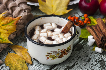 Hot chocolate with marshmallows and spices