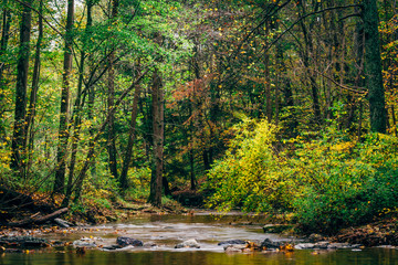 Creek at Rocks State Park, Maryland.