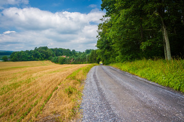 Fototapeta na wymiar Dirt road and fields in rural Baltimore County, Maryland.