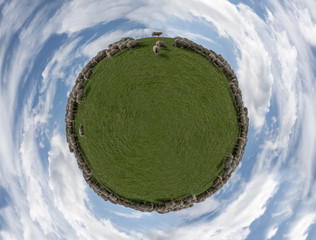 Tiny World Sheep on a dike green grass