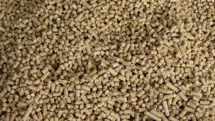 Biofuels, Bio fuels, eco fuel. Wood pellets in the background.. Wood filler used in cat litter.