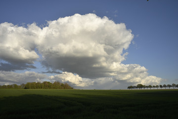 Landschaft mit Wiese und Wolken im Sommer