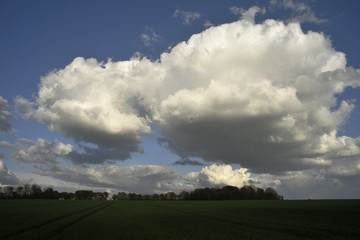 Obraz na płótnie Canvas Landschaft mit Wiese und Wolken im Sommer