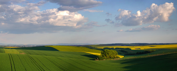 Obraz premium Green meadows under blue sky