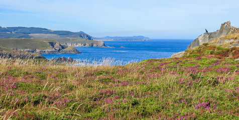 Scenic cliffs view in San Xiao, small village near Cedeira, Galicia, northern Spain