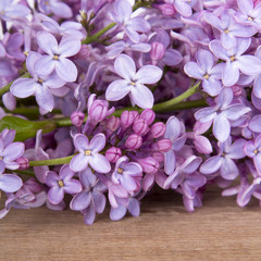Naklejka na ściany i meble lilac flowers on white wooden background