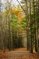 acadia national park